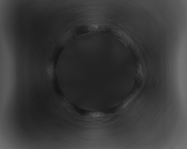 X0000100890659200806241232