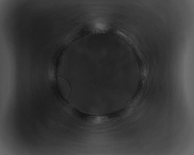 X0000100890663200806241232
