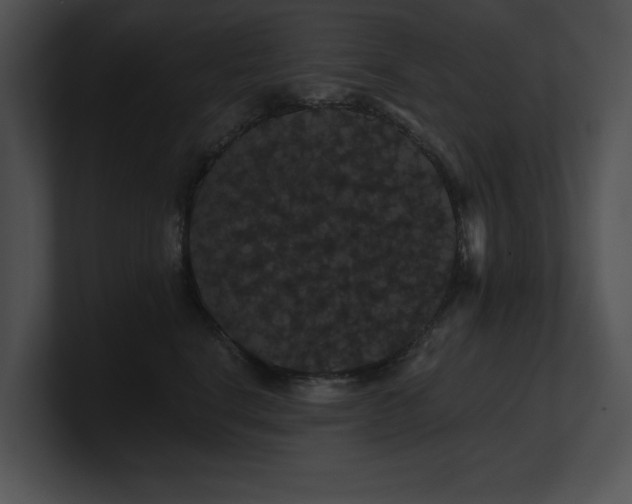 X0000100890664200806241232