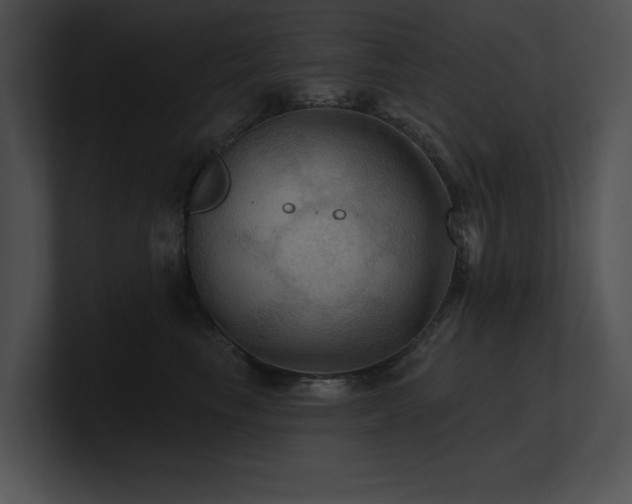 X0000100890665200806241232