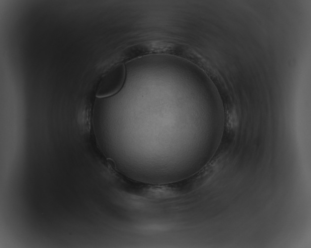 X0000100890666200806241232