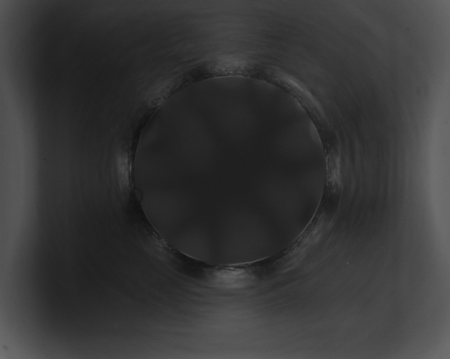 X0000100890669200806241232