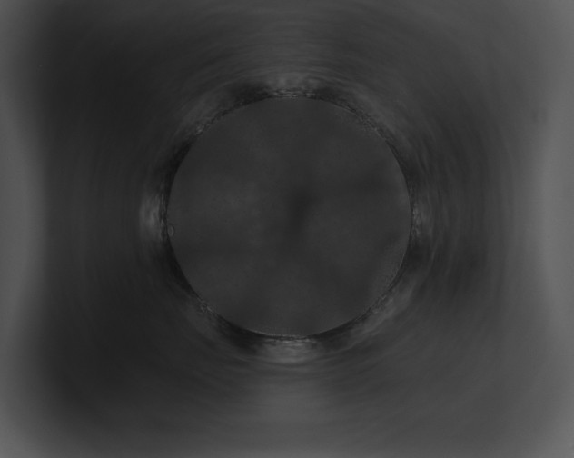X0000100890671200806241232