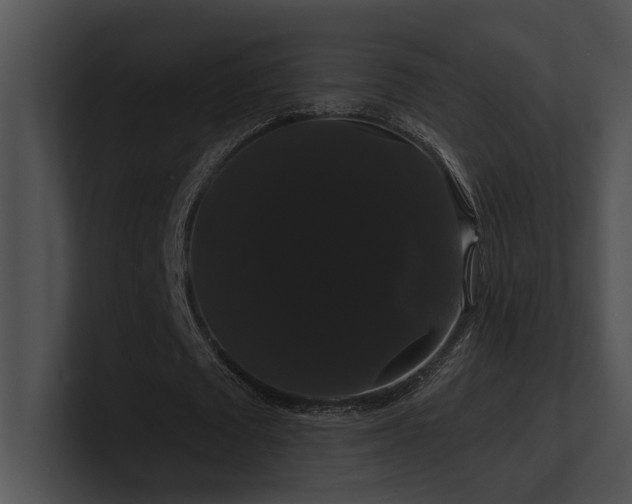 X0000100890673200806241232