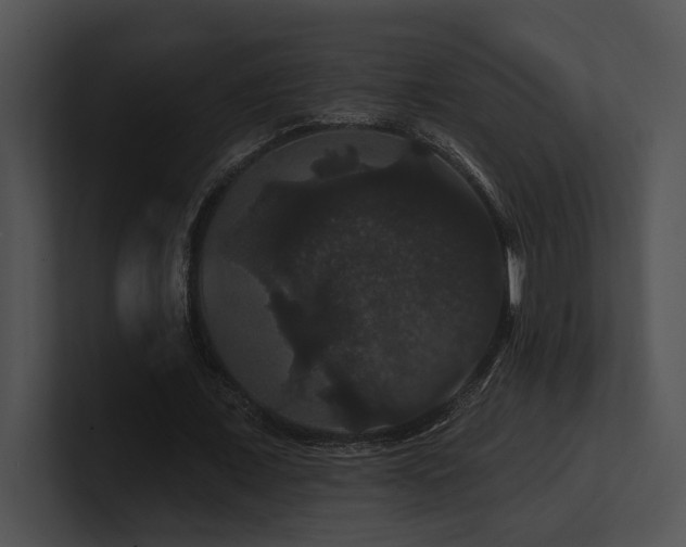 X0000100890675200806241232