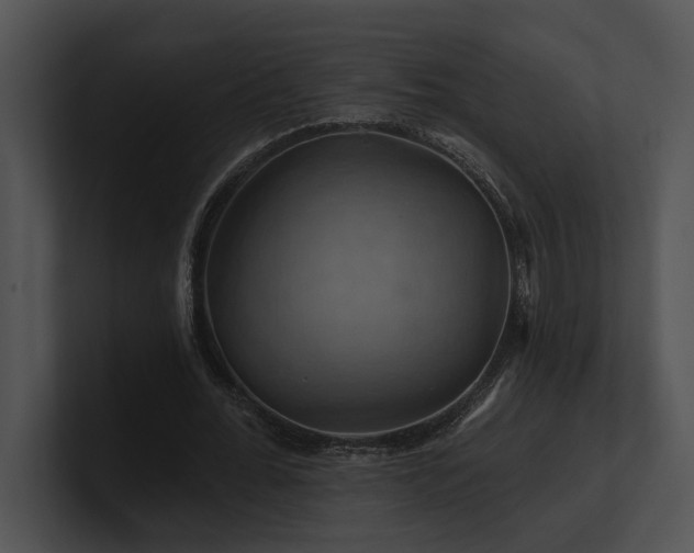 X0000100890676200806241232