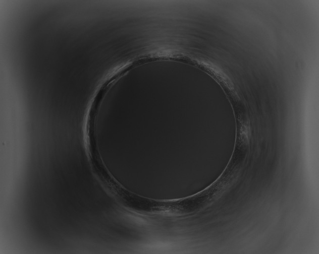 X0000100890678200806241232