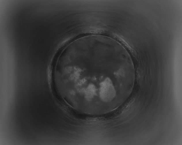 X0000100890679200806241232