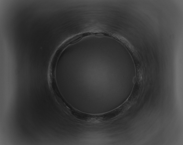 X0000100890680200806241232