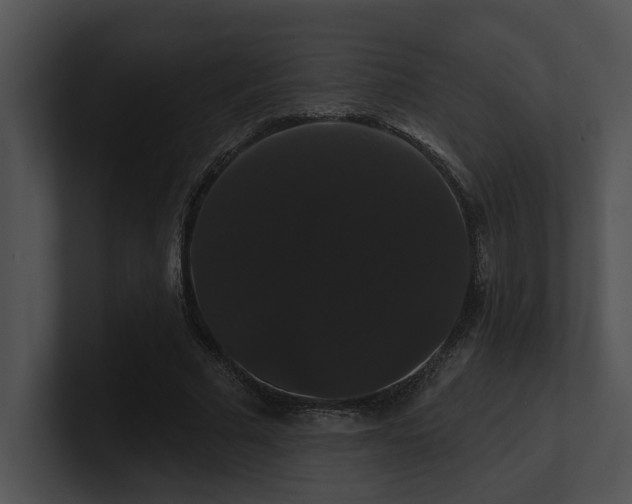 X0000100890681200806241232