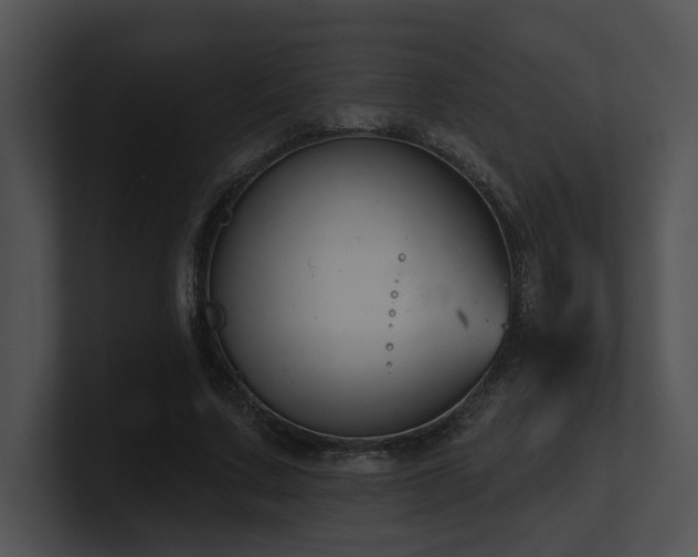 X0000100890683200806241232