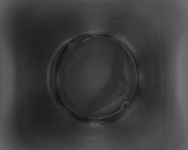 X0000100890684200806241232