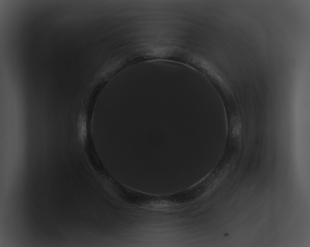 X0000100890685200806241232