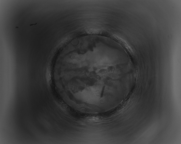 X0000100890687200806241232