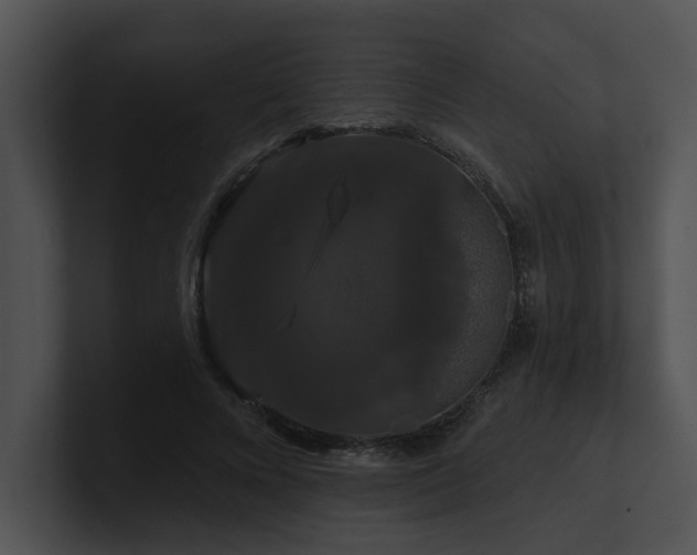 X0000100890688200806241232