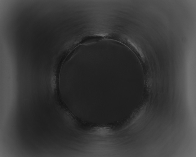 X0000100890689200806241232