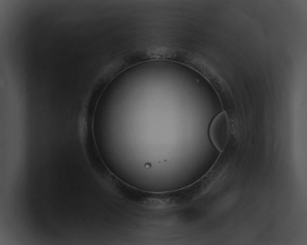 X0000100890690200806241232