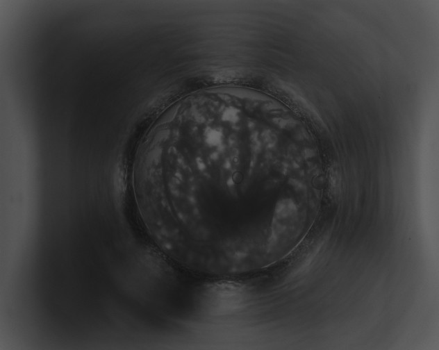 X0000100890691200806241232