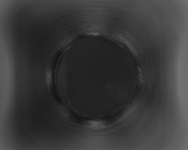 X0000100890693200806241232