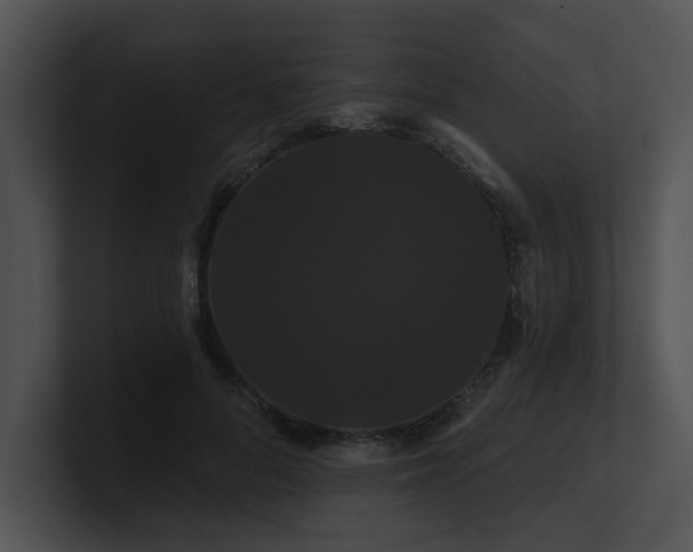 X0000100890696200806241232