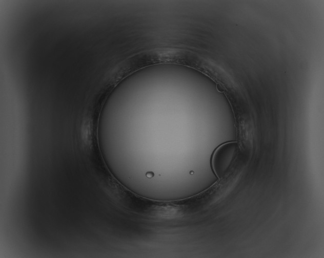 X0000100890698200806241232