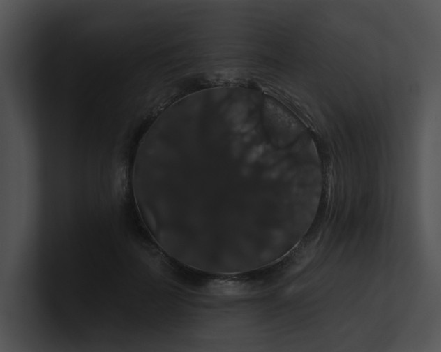 X0000100890699200806241232
