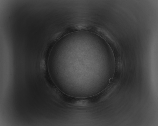 X0000100890700200806241231