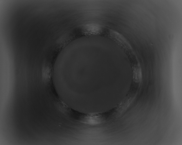 X0000100890701200806241231