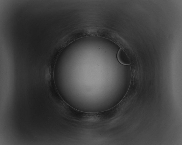 X0000100890702200806241231