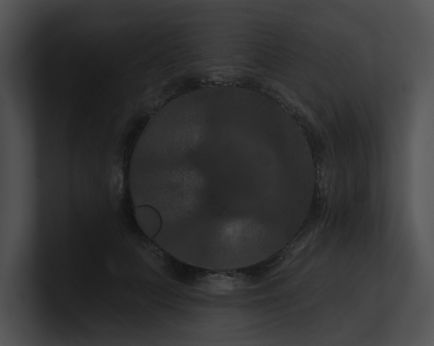 X0000100890703200806241231