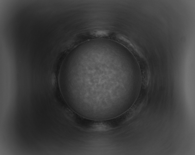 X0000100890704200806241231