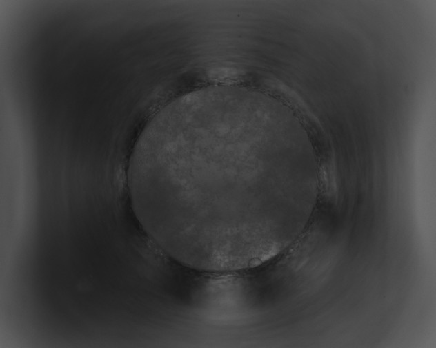 X0000100890705200806241231