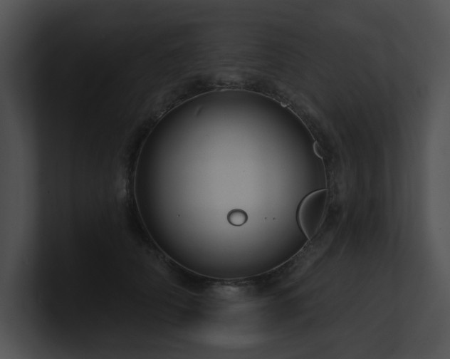 X0000100890706200806241231