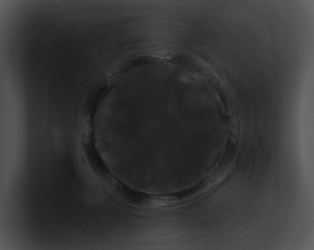 X0000100890707200806241231