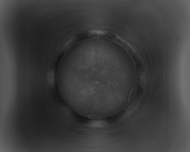 X0000100890708200806241231