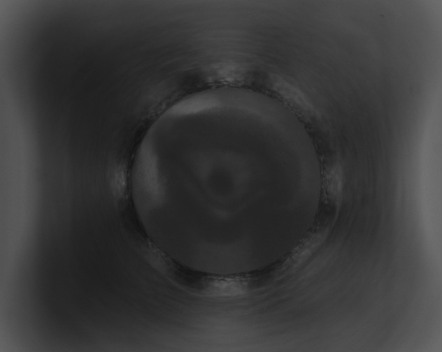 X0000100890709200806241231