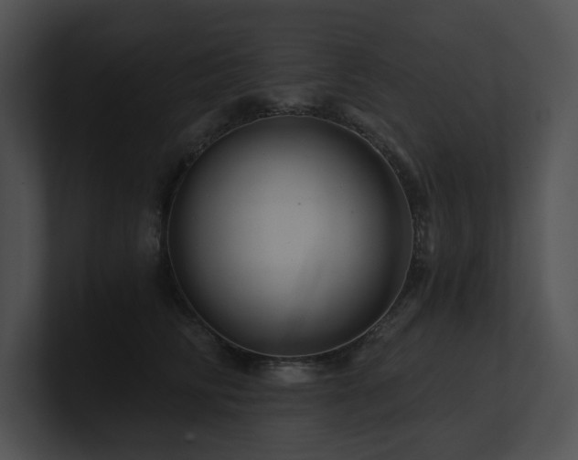 X0000100890710200806241231