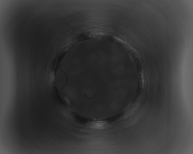 X0000100890711200806241231