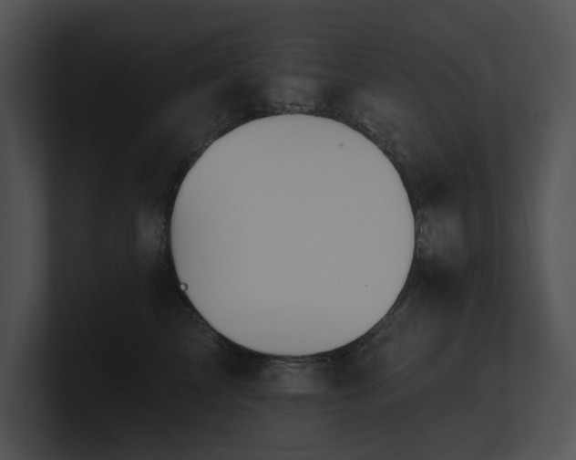 X0000100890713200806241231