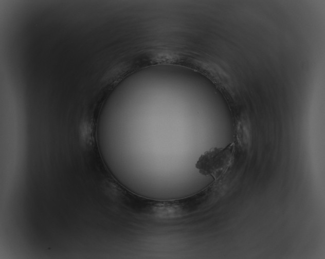 X0000100890714200806241231