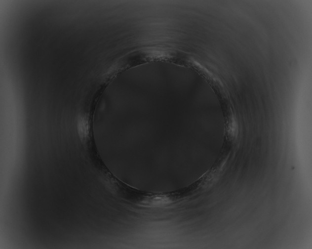 X0000100890715200806241231