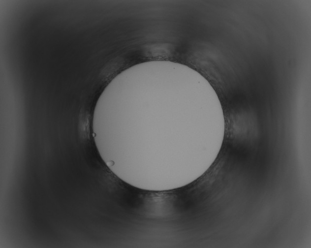 X0000100890717200806241231