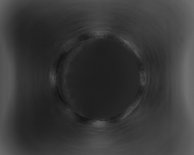 X0000100890718200806241231