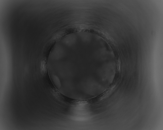 X0000100890719200806241231