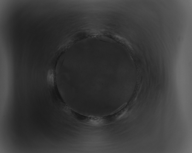 X0000100890720200806241231