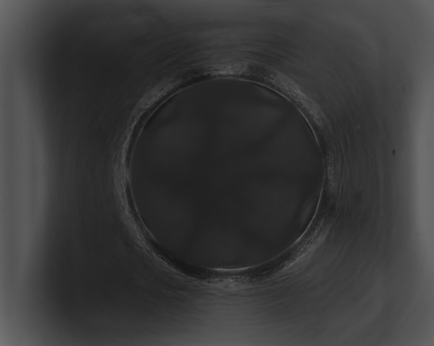 X0000100890721200806241231