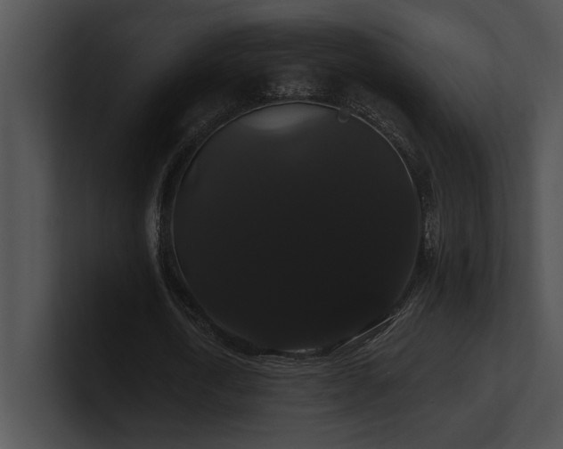 X0000100890722200806241231
