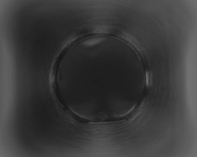 X0000100890723200806241231