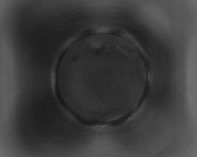 X0000100890725200806241231