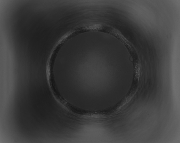 X0000100890726200806241231